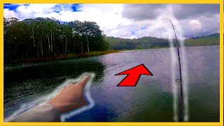 Australian Bass Fishing - Lake Baroon (We did not expect to catch these STONKERS)