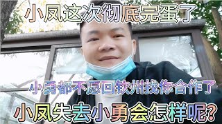 小凤真的失去小勇了，小勇都怕小凤真的喜欢他，小凤失去小勇了吗【飞哥wfX】