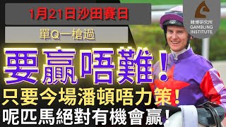 【賽馬貼士】1月21日 單Q一槍過｜要贏唔難！｜只要今場潘頓唔力策！呢匹馬絕對有機會贏！