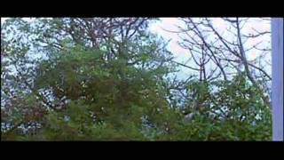 Ae Jagdamba Mayee [Full Song] Bandhan Toote Na