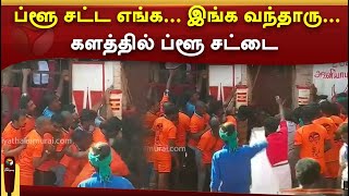 ப்ளூ சட்ட எங்க... இங்க வந்தாரு...களத்தில் ப்ளூ சட்டை |PTTV