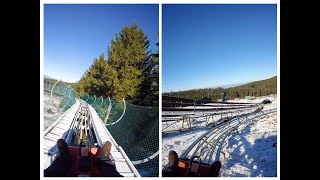 Rodelbahn Mehliskopf at Full Speed #schwarzwald #blackforest #adventure #nature #forest #rodelbahn