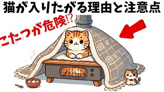 猫がこたつに入りたがる理由と注意点5選！