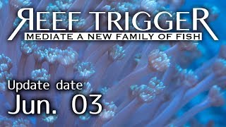 オーストラリア産ハナガササンゴ ノーマル(微グリーン) プレート(ML相当)[LPS0603-1]REEF-TRIGGER