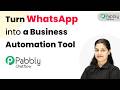 Turn WhatsApp into a Business Automation Tool with Pabbly Chatflow