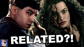Bellatrix & Credence Are Related?! | Fantastic Beasts Theory