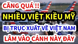 CĂNG QUÁ, NHIỀU VIỆT KIỀU MỸ BỊ TRỤC XUẤT VỀ VIỆT NAM, LÂM VÀO CẢNH CƠM ÁO GẠO TIỀN THẾ NÀY, TRUMP M