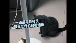 这就是传说中的三脚猫功夫吗？