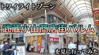 トワイライトゾーンvol.19★東京最長アーケード商店街『武蔵小山商店街パルム』を散歩してみた（撮影カメラ：Gopro HERO 9 BLACK)