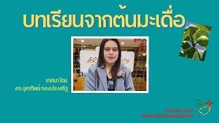 คำเทศนา Ep27 บทเรียนจากต้นมะเดื่อ