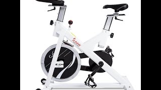 Sunny Health & Fitness SF-B1110 Indoor Cycling Bike