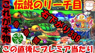 4月11日　パチンコ実践　大海物語4スペシャル　【これが本物】伝説のリーチ目　右下がり339からプレミア当たりで一撃万発　オカルト万歳谷村先生ありがとう