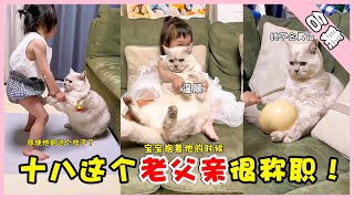 十八这个老父亲很称职！🐱👧（合集）【十八的萌喵日记】