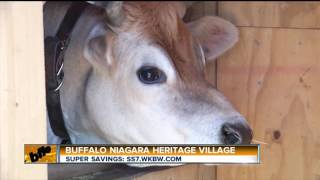Buffalo Niagara Heritage Village