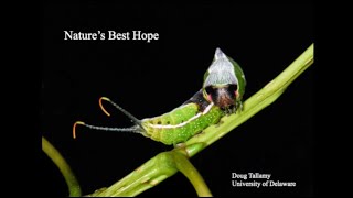 Doug Tallamy: Nature's Best Hope