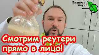 ДЕРЗКИЙ ОБМАН БЛОГЕРОВ: йогурт РЕУТЕРИ под микроскопом. Как выглядит настоящий реутери йогурт.