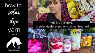 Dyeing yarn with PLANTS + THE SUN | the BIG REVEAL! | join me on a solar dyeing adventure, Part 2...