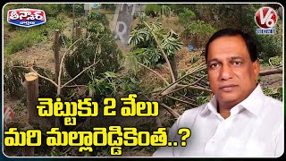 Electricity Department Officials Gets Fined For Destroying Haritha Haram Plants | Nirmal | V6