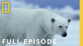 Polar (Full Episode) | Hostile Planet | National Geographic