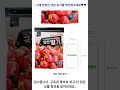 국산 냉동 딸기 500g 1팩 가성비 꿀맛 shorts 내돈내산video