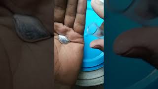Mercury Metal in hand | very toxic | Don't Try at Home | #shorts #youtubeshorts #quicksliver