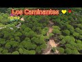 los caminantes mix romanticas 💖💦 los caminantes puras románticas para enamorarse