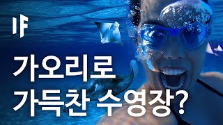 만약에 가오리로 가득찬 수영장에 빠지면? [한국어 더빙] | 만약에 What If Korea