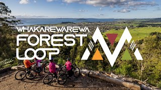 Whakarewarewa Forest Loop Mountain Bike Ride In Rotorua