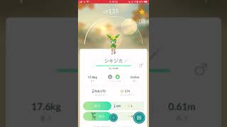 ［ポケモンGO］進化「シキジカ（なつのすがた）→メブキジカ（なつのすがた）」