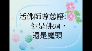 活佛師尊慈語:你是佛頭，還是魔頭