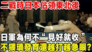 二戰時日本佔領東北後，日軍為何不“見好就收”，不猥瑣發育還越打越急眼？#二戰歷史 #人物記 #電影 #名人 #日本史 #中国