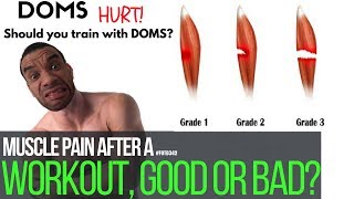 Muscle pain after a workout, good or bad? - #FOTD342