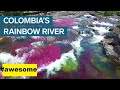 Rainbow River in Colombia is one of the prettiest rivers in the world