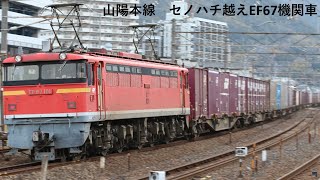 EF67電気機関車　山陽本線セノハチ越えを往く