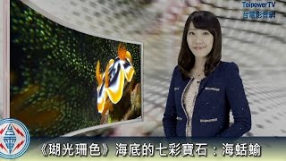 台電影音網106.01.11節目