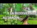 La vraie biodiversité n'est pas dans un hôtel à insectes, fais de ton jardin un havre de paix !