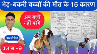 बकरी के बच्चों कि मौत के 15 कारण, Goat kids death 15 Reason | Sheep Goat kids