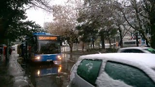 First snow in Tbilisi პირველი თოვლი  თბილისში