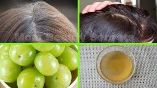 నల్లని ఒత్తైన జుట్టు కోసం ఆమ్లా హైర్ ఆయిల్॥How To Make AMLA Hair Oil ||Hair Growth Tips