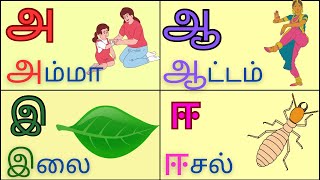 அஆஇ|உயிர் எழுத்துக்கள்|Uyir eluthukkal|Tamil letters \u0026 words learning for kids|Preschooler learning