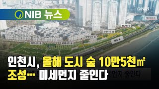 [NIB 뉴스] 인천시, 올해 도시 숲 10만5천㎡ 조성… 미세먼지 줄인다