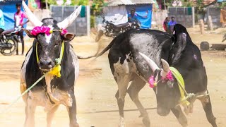 மேலூர் குணா கட்டப்பா || நேற்று தென்னலூர் கோவில் தரிசனம்