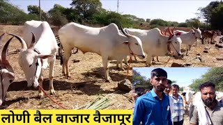 प्रसिद्ध लोणी बैल बाजार पुन्हा नव्याने सुरू. #शेतकरी #नाद #farming #bailbajar #baliraja #लोणी #khill