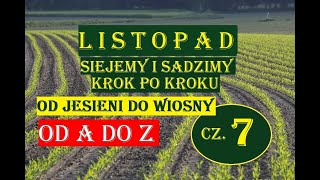 LISTOPAD -SIEJEMY I SADZIMY, KROK PO KROKU - OD JESIENI DO WIOSNY, OD A DO Z, CZ 7