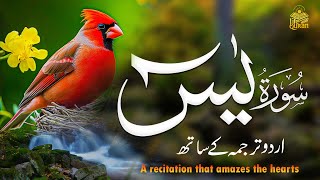 Surah Yasin (Yaseen) | Full With Arabic | Beautiful recitation | یس سورہ  | And Urdu Translation 005