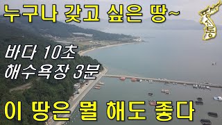 누구나 갖고 싶은 땅~걸어서 바다10초, 해수욕장3분~이 땅에서 뭘 해도 좋다[땅지통]