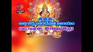 Sri Aadi Shakti Naga Devatha Temple | Town Kotha Road | Visakhapatnam |Teerthayatra | 28th July 2017