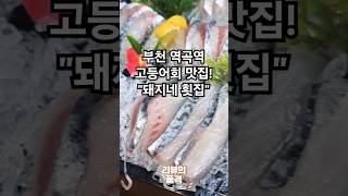 부천 역곡 북부역 고등어회 맛집! \