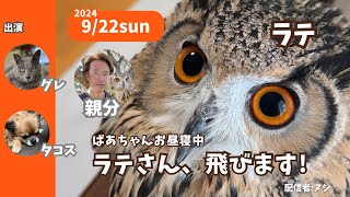 ライブ配信！2024/9/22