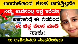 ಅಂದುಕೊಂಡ ಕೆಲಸ ಆಗುತ್ತಿಲ್ಲವೇ ನಿಮ್ಮ ಜೀವನದಲ್ಲಿ ಕಷ್ಟ ಇದೆಯಾ ಹಾಗಾಗಿದ್ರೆ ಈ ಗಿಡದಿಂದ ಈ ಚಿಕ್ಕ ಕೆಲಸ ಮಾಡಿ ಸಾಕು!!